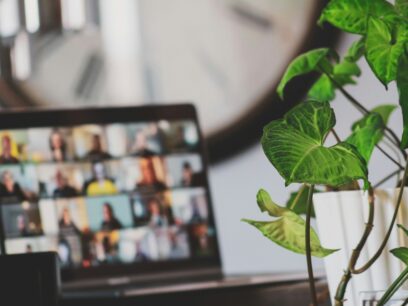 A laptop displaying a virtual meeting is placed behind a vibrant green potted plant.